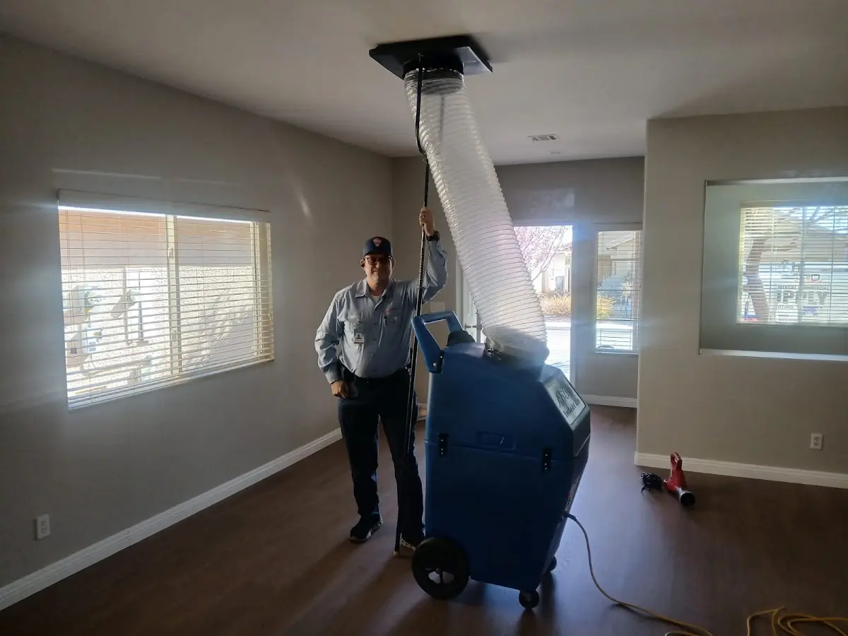 Professional Dryer Vent Cleaning work inside a Roseland home